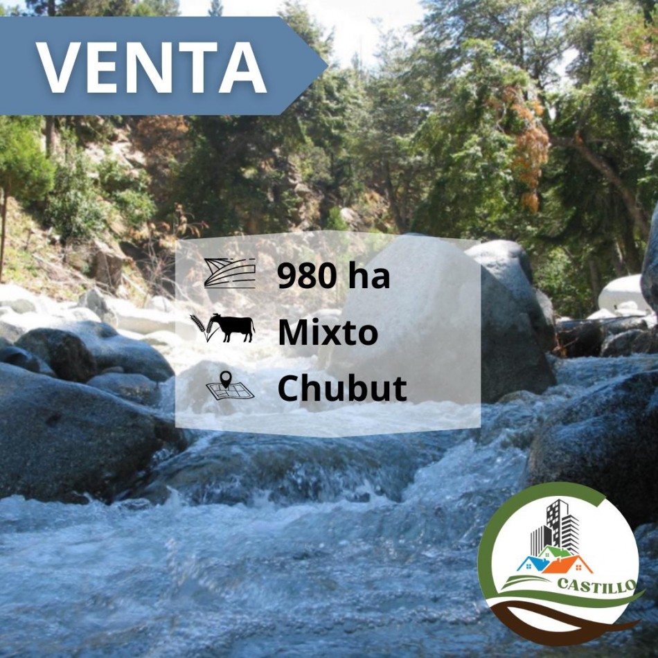 986 ha Mixta - el hoyo