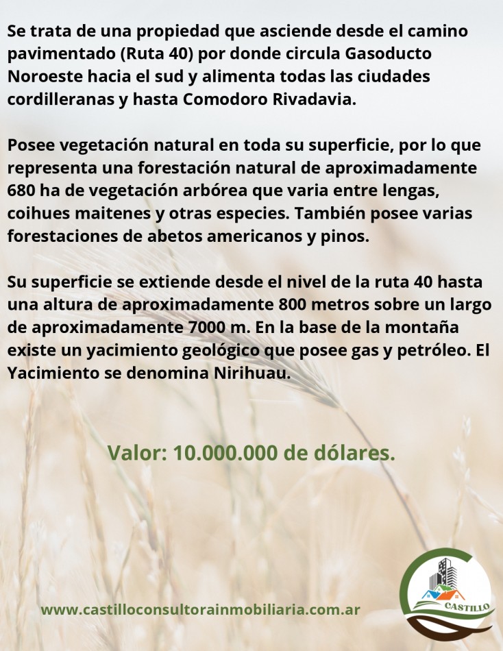 986 ha Mixta - el hoyo