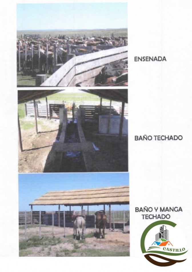41000 ha mixtas - corrientes