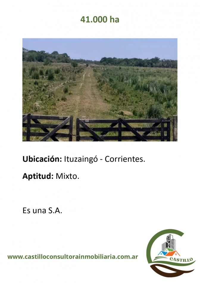 41000 ha mixtas - corrientes