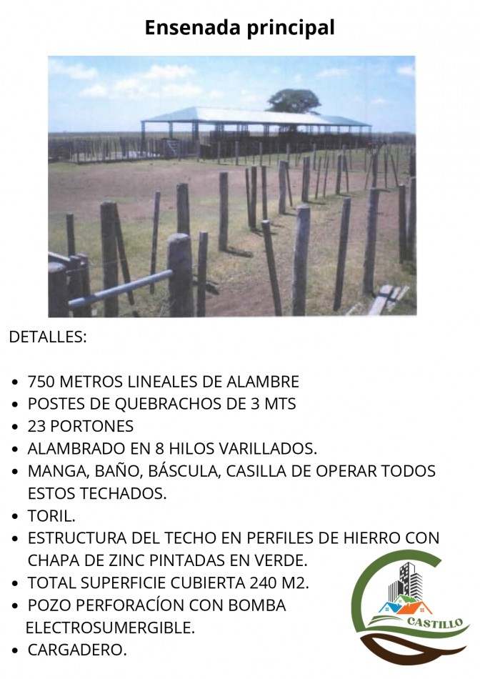 41000 ha mixtas - corrientes