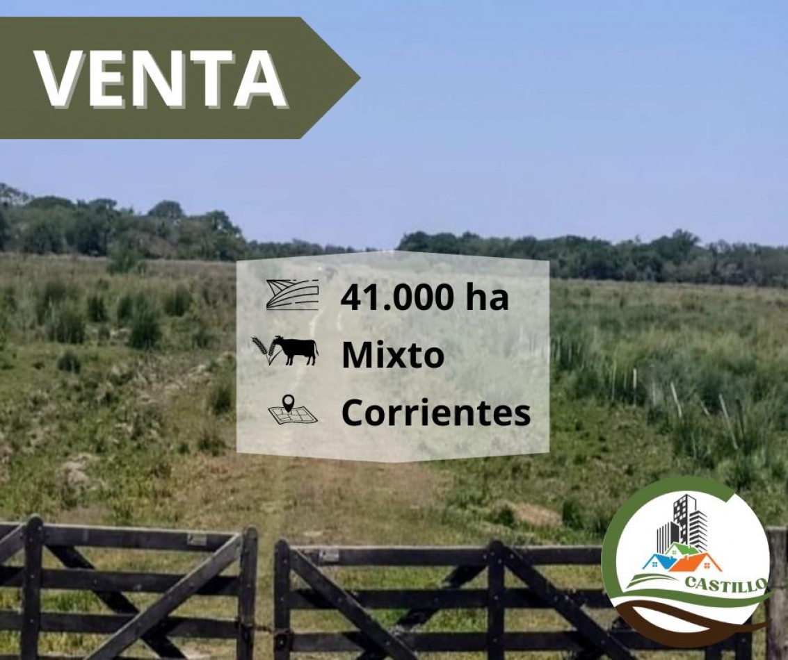 41000 ha mixtas - corrientes