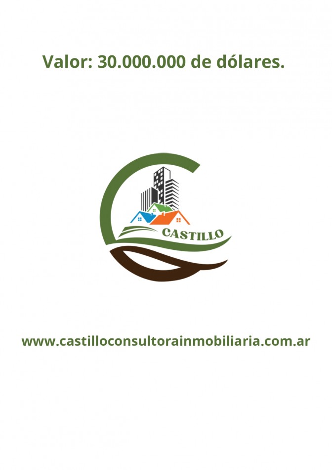 41000 ha mixtas - corrientes