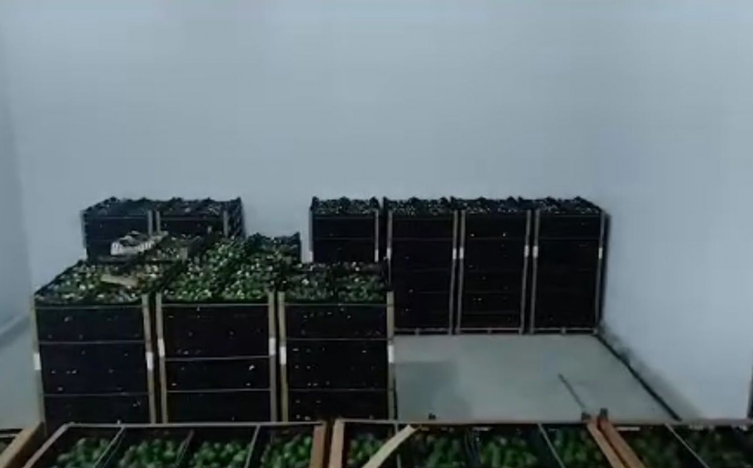 Empresa de logistica y transporte de frios - caba