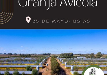 Granja Avicola 
