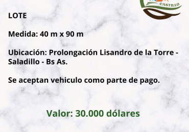 Lote 40 x 90 - Saladillo