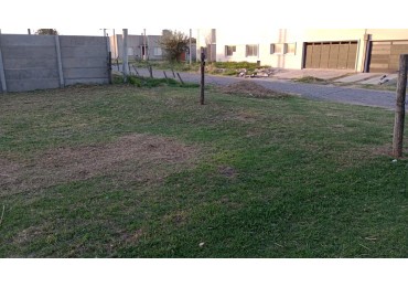Lote 12 x 25 - Las FLores