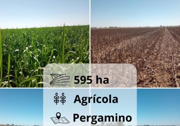 595 ha Agricolas - Pergamino