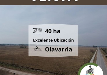 40 ha subdivididas - Olavarria