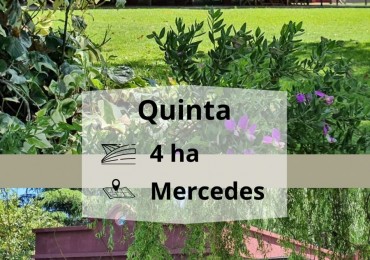 Quinta 4ha - Mercedes