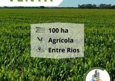 100 Ha Agricolas + 1145 Ha. de Isla - Entre rios