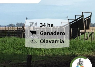 34 ha ganadera - Olavarria