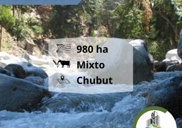 986 ha Mixta - el hoyo