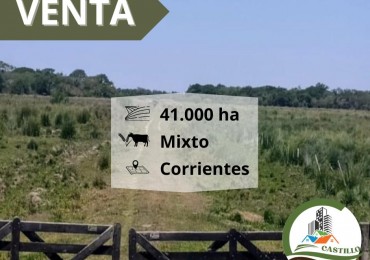 41000 ha mixtas - corrientes