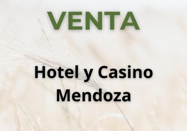 Hotel 4 estrellas y casino - Mendoza - ruta del vino