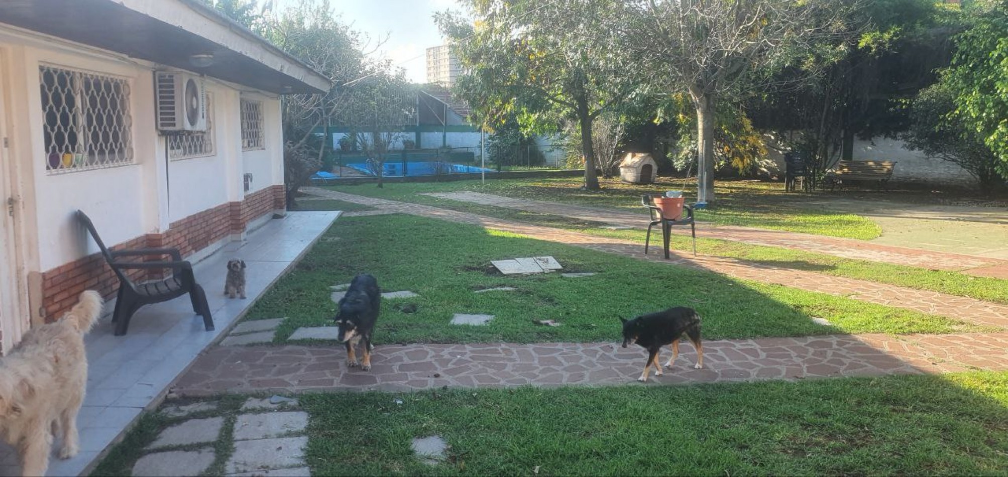 propiedad de categoria MUCHO PARQUE