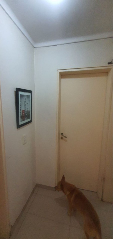 propiedad de categoria MUCHO PARQUE