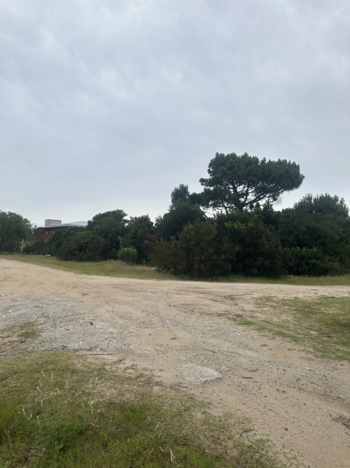 ESPECTACULAR LOTE 4963 M2. EN COLONIA MARINA VILLA GESELL.