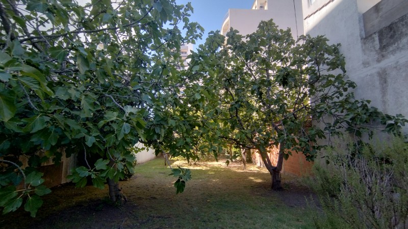OPORTUNIDAD TERRENO BARRIO SAN CARLOS 