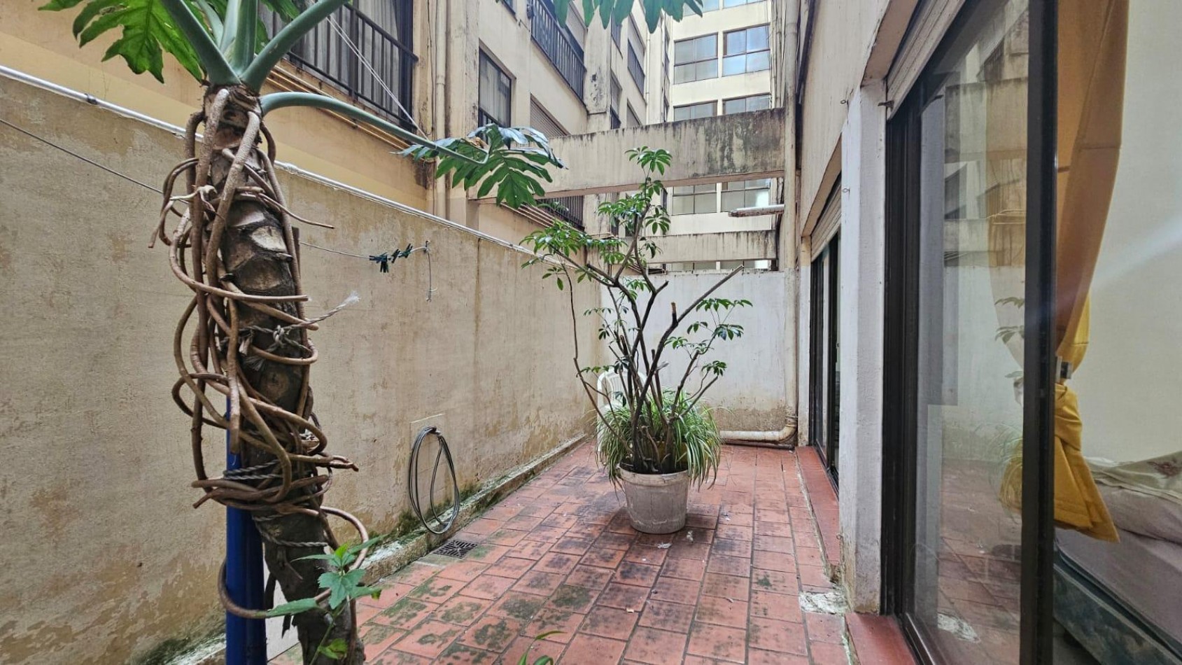 DEPARTAMENTO 3 AMBIENTES CON BALCON Y PATIO FRENTE AL ALDREY