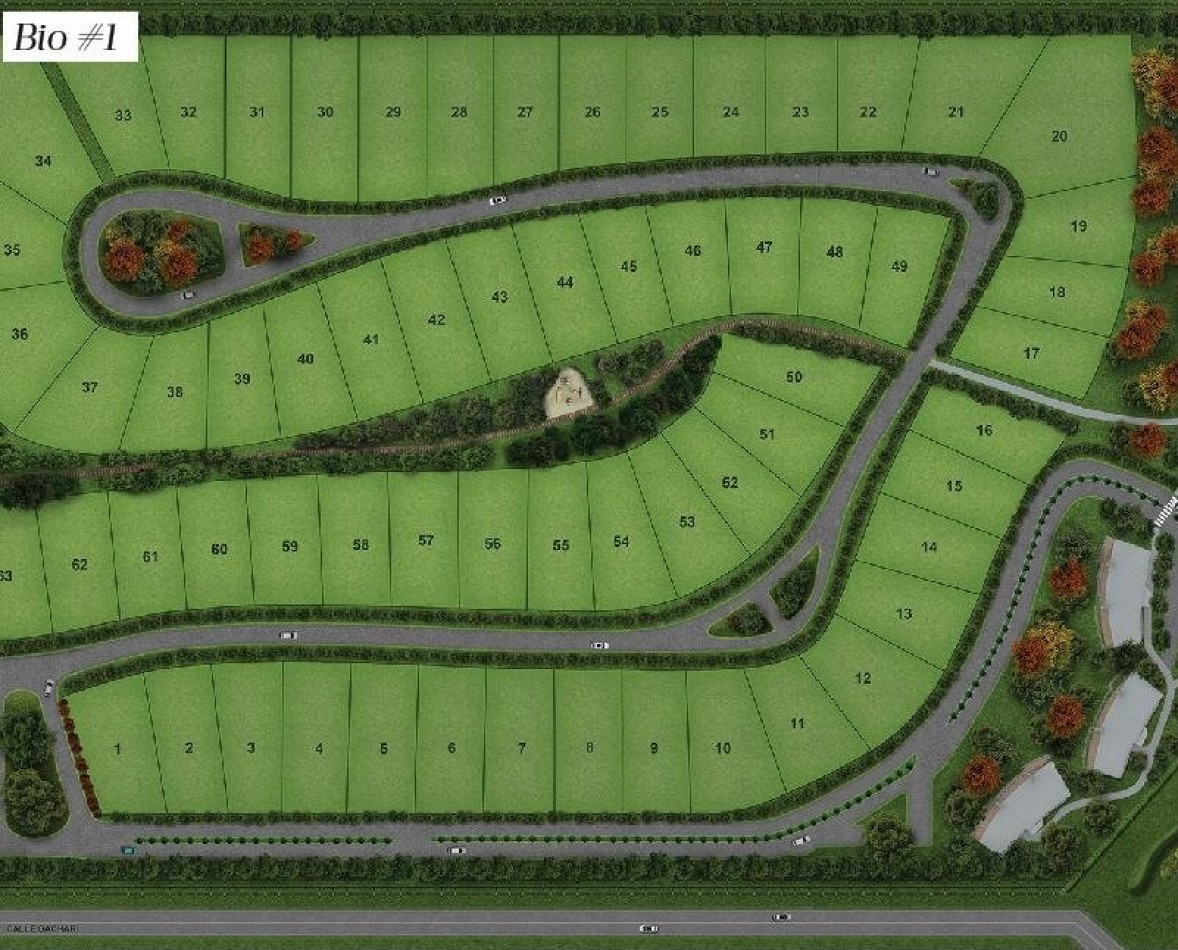 OPORTUNIDAD!! AMPLIO LOTE EN PRESTIGIOSO BARRIO PRIVADO!! DEVELOPER PARK