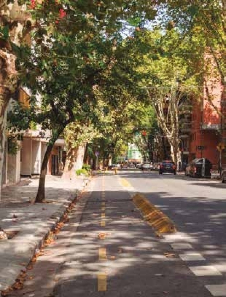 En el lado verde de Belgrano.  Proyecto joven en un barrio consolidado.