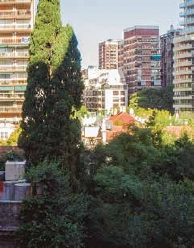 En el lado verde de Belgrano.  Proyecto joven en un barrio consolidado.