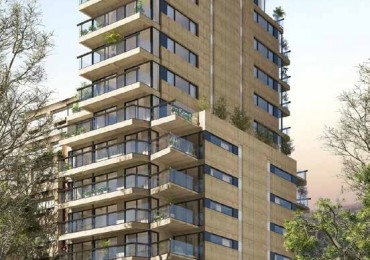 En el lado verde de Belgrano.  Proyecto joven en un barrio consolidado.