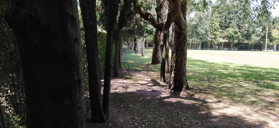 La Unión, Ezeiza, Importante Quinta sobre fracción de 4500m2 C/Pileta, cancha