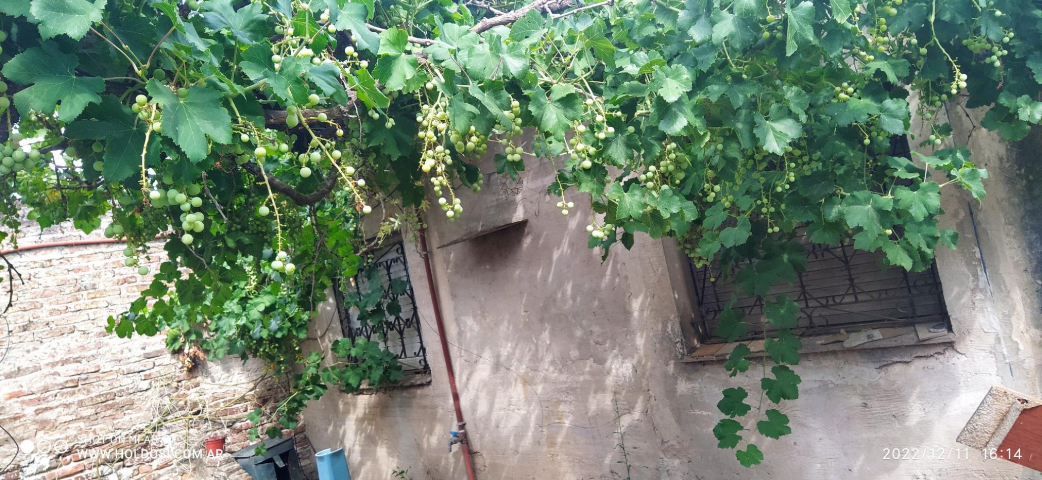 OPORTUNIDAD !!! Casa, lote 10x31, LOSA 4 amb. e/ auto, B° Sta. Lucia     