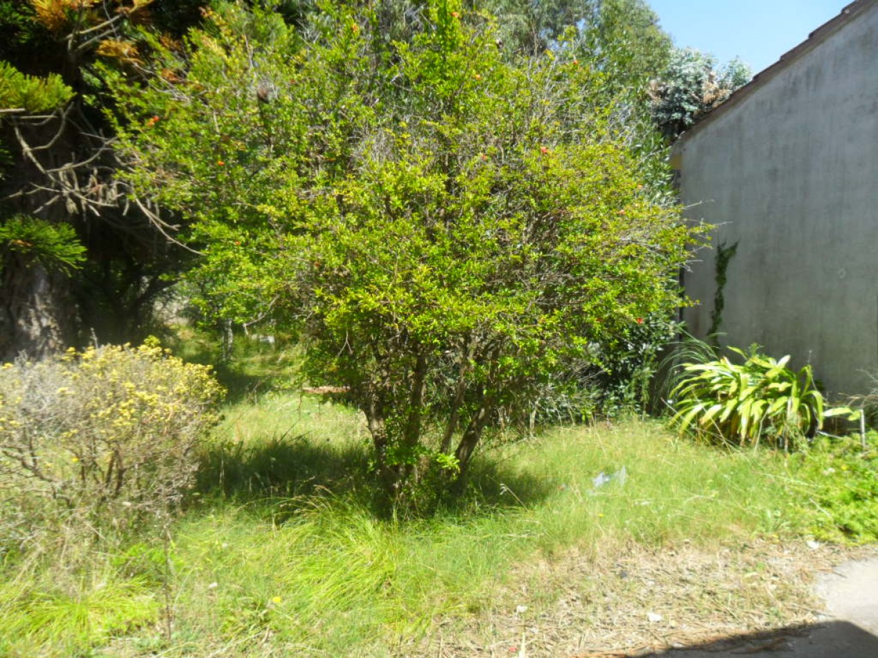 Casa de 3 amb. Barrio el Tala