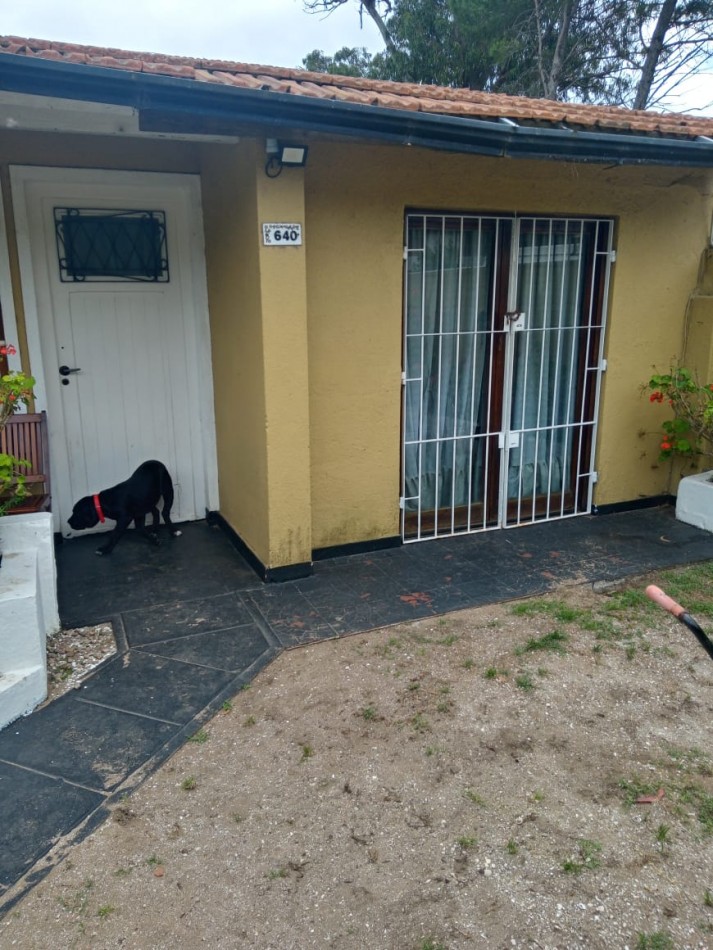 Gran Complejo zona norte 