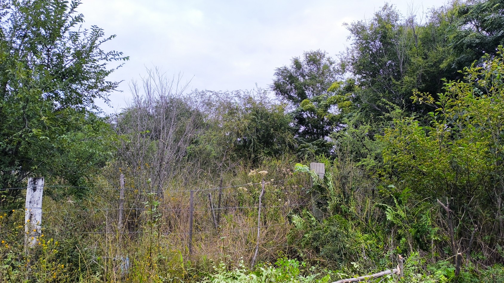 Vendo lote de 712m2 en Cosquin- Molinari Cordoba 