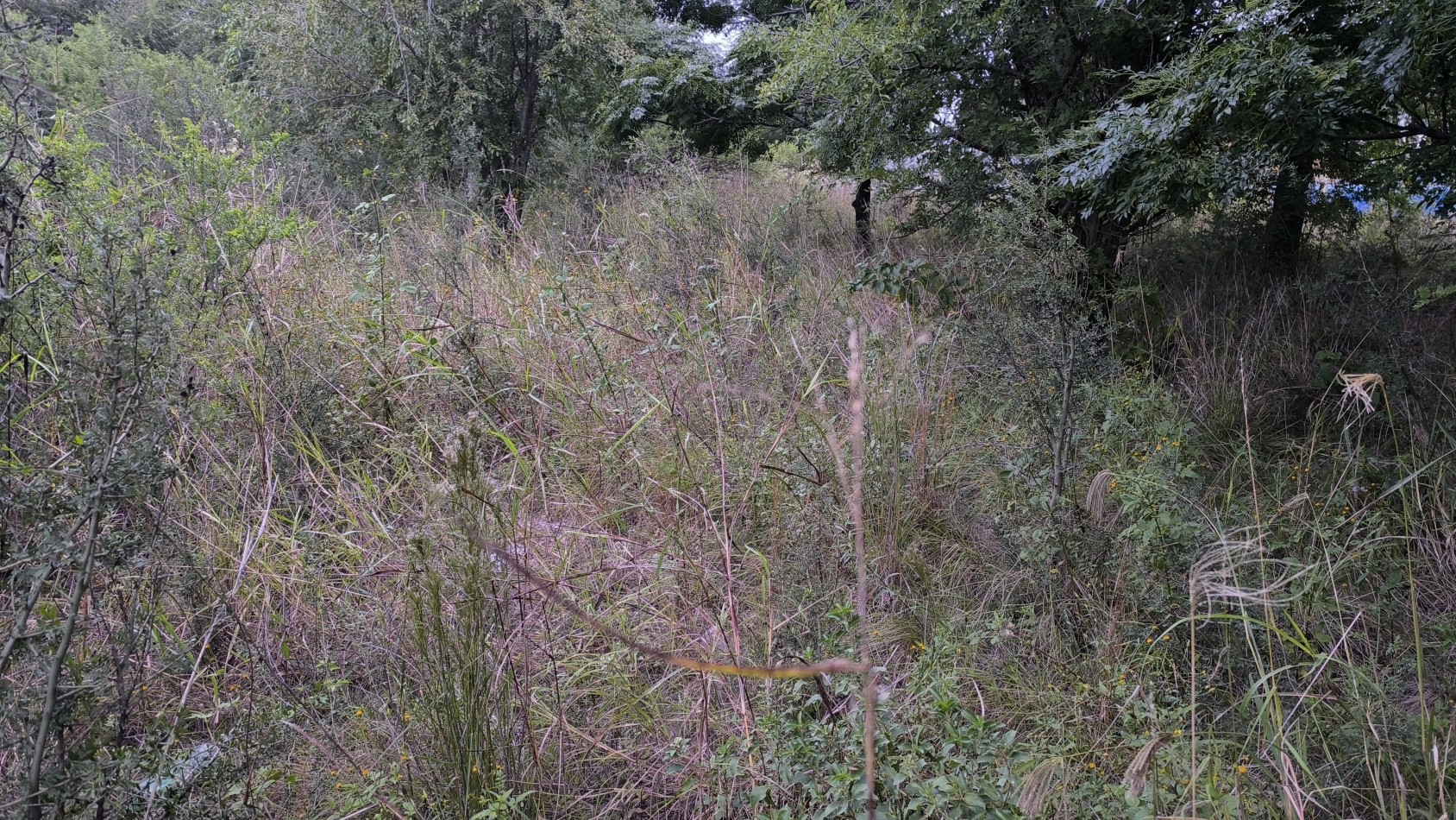 Vendo lote de 712m2 en Cosquin- Molinari Cordoba 