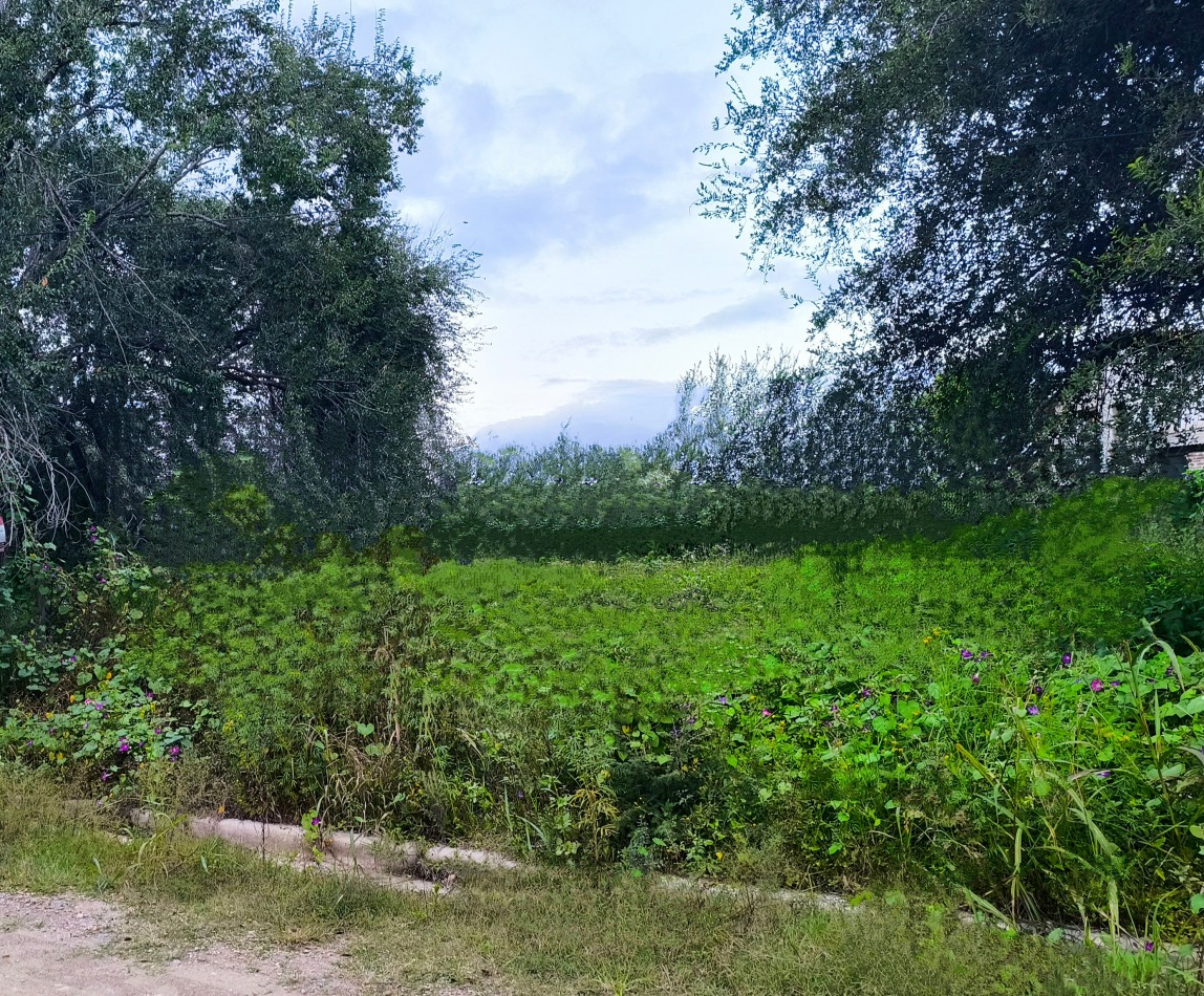Vendo lote de 325 m2 Bialet Masse_ B° Paya de Oro- Cordoba 
