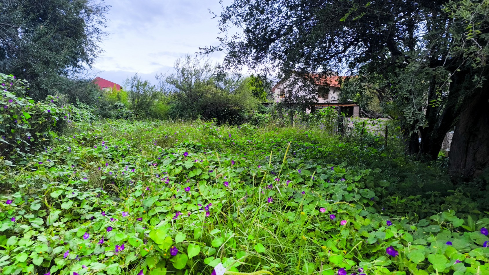 Vendo lote de 325 m2 Bialet Masse_ B° Paya de Oro- Cordoba 