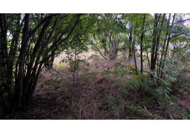 Vendo lote de 712m2 en Cosquin- Molinari Cordoba 