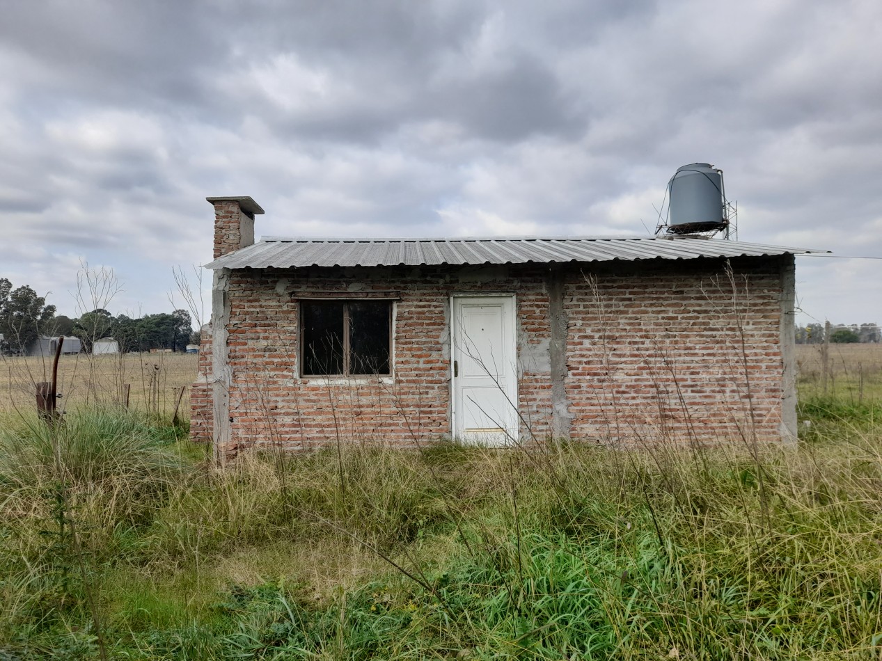 ALQUILER - CAMPO 