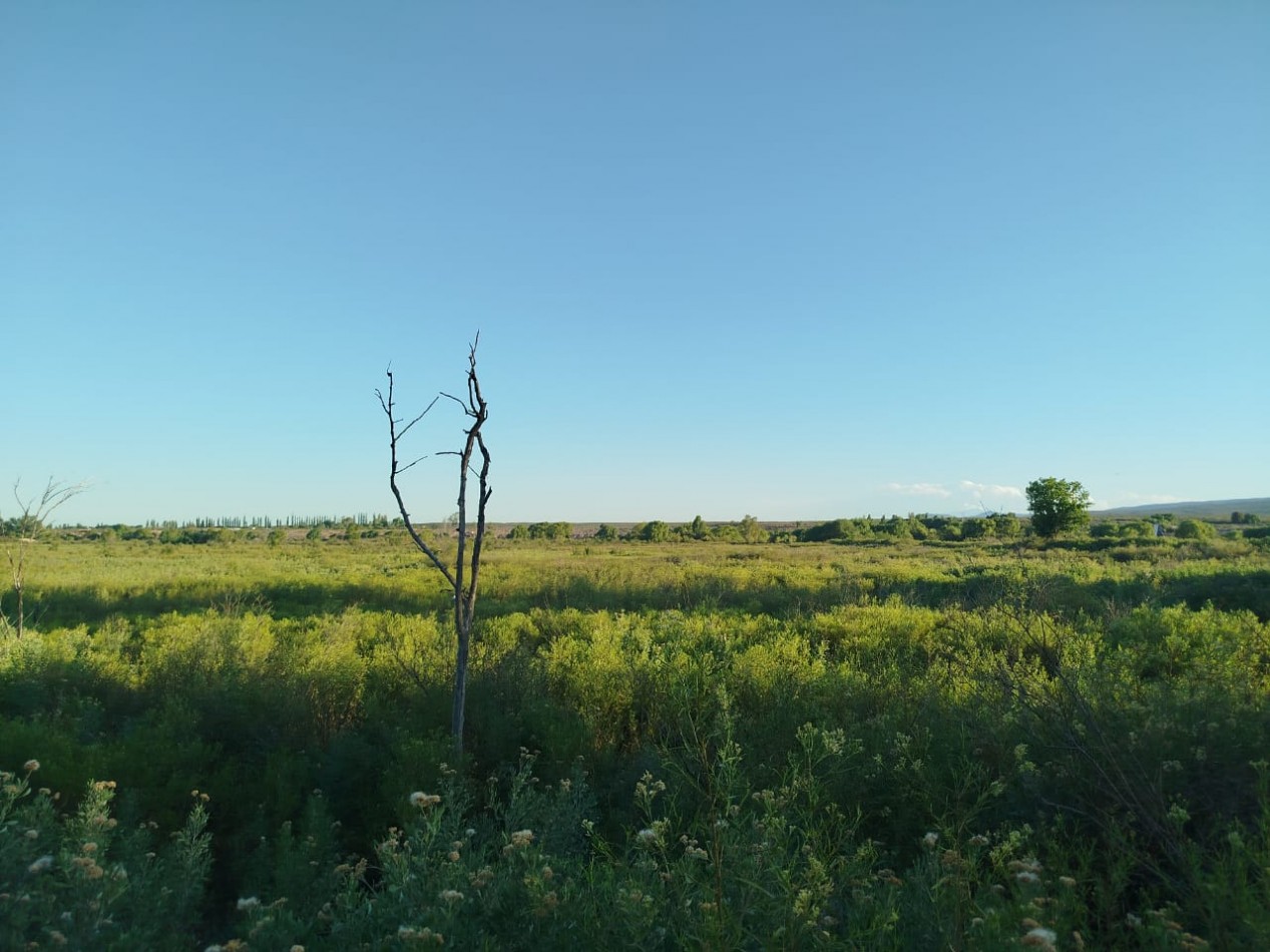 FINCA DE 5 HECTAREAS CON SALIDA AL RIO