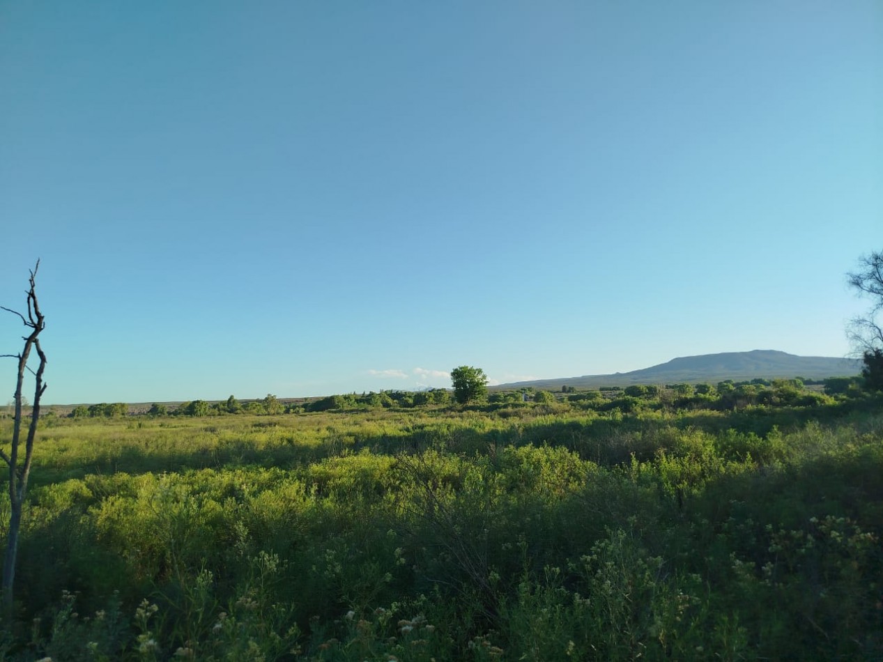 FINCA DE 5 HECTAREAS CON SALIDA AL RIO