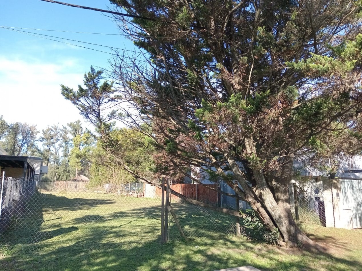 LOTE DE 450m EN EL BARRIO PINARES EN EL PATO