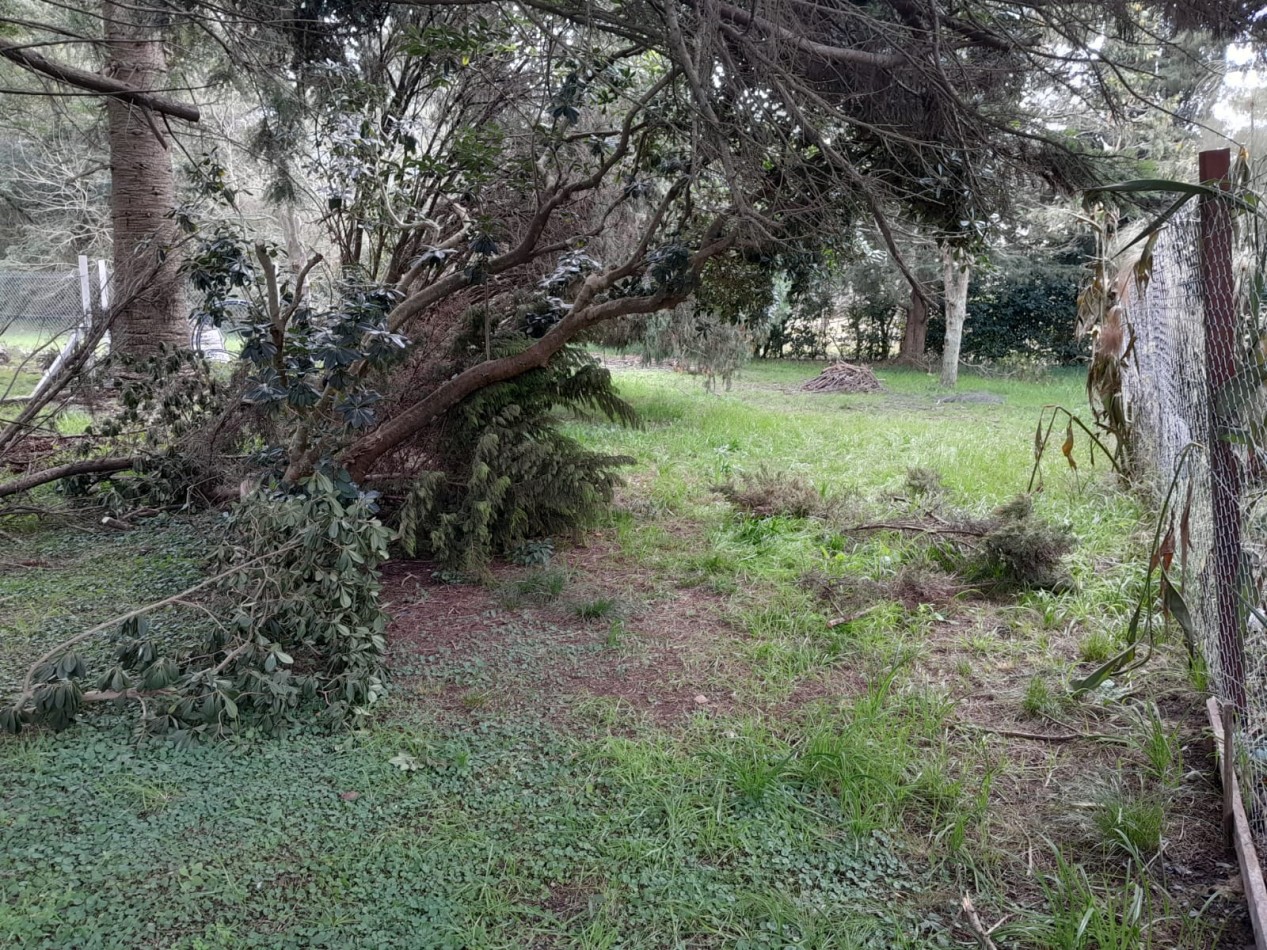 LOTE DE 450m EN EL BARRIO PINARES EN EL PATO