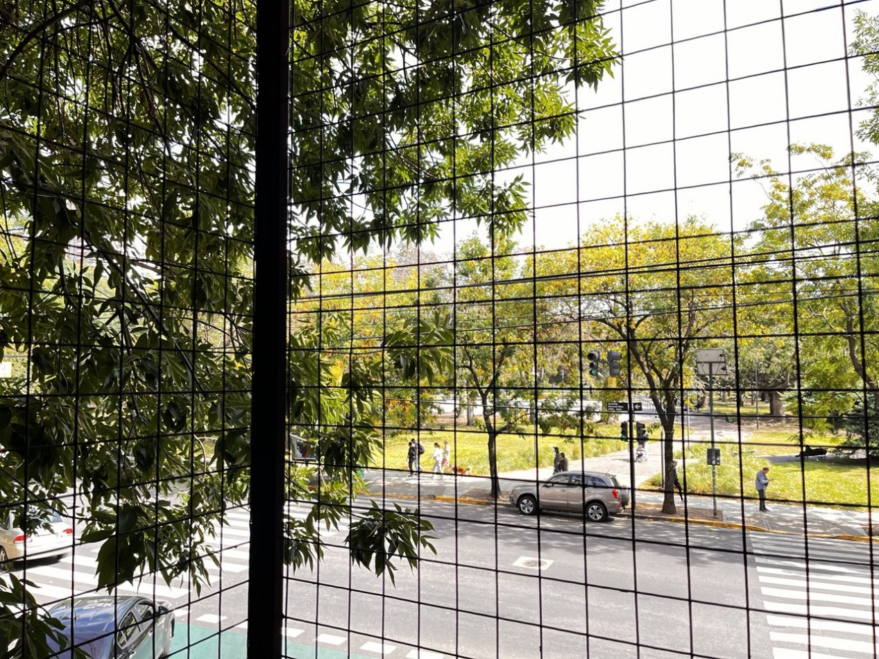DEPARTAMENTO DE 3 AMBIENTES CON BALCON Y VISTA AL PARQUE LAS HERAS, PEÑA Y CORONEL DIAZ, RECOLETA