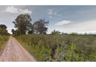 Terreno Lote hectarea en venta