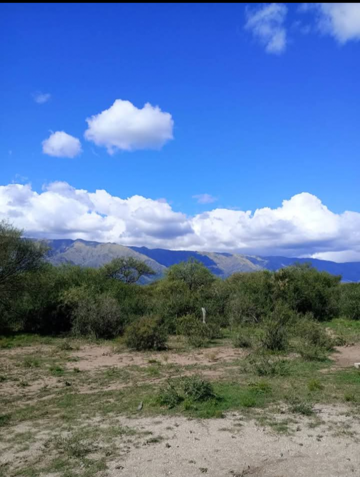 VENDE CAMPO OPORTUNIDAD DE EMPRENDIMIENTO INMOBILIARIO