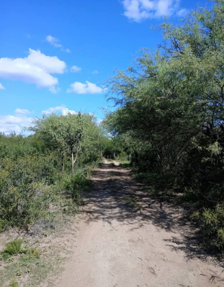 VENDE CAMPO OPORTUNIDAD DE EMPRENDIMIENTO INMOBILIARIO