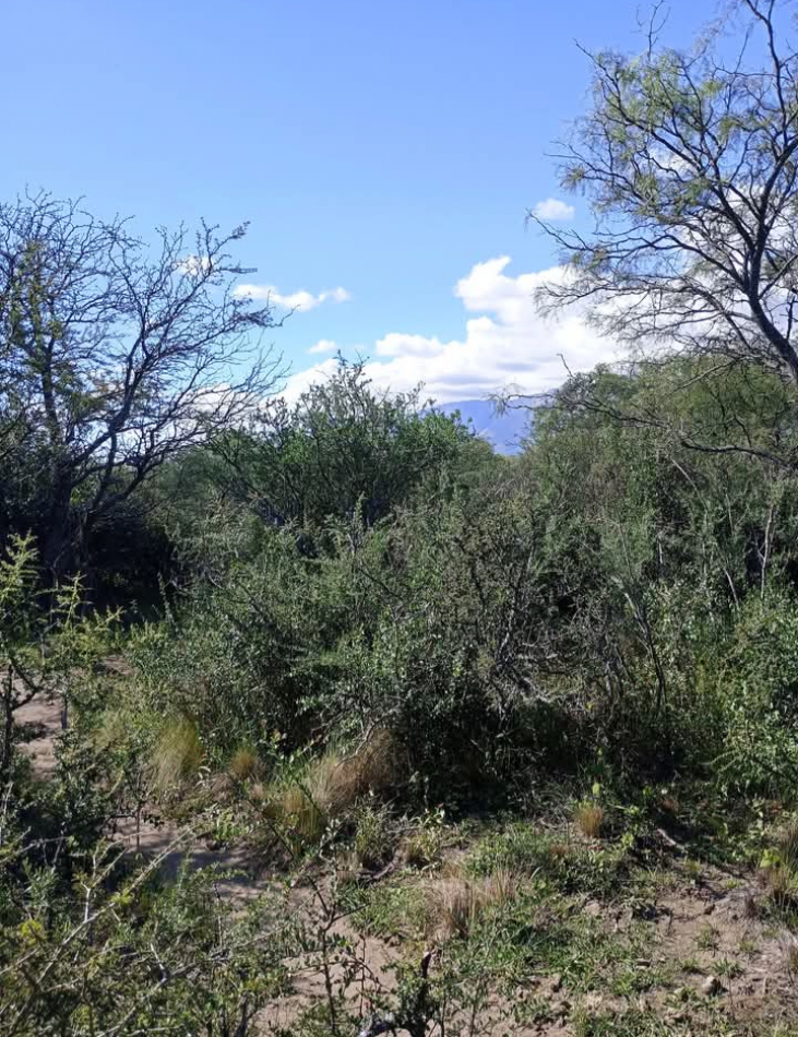 VENDE CAMPO OPORTUNIDAD DE EMPRENDIMIENTO INMOBILIARIO