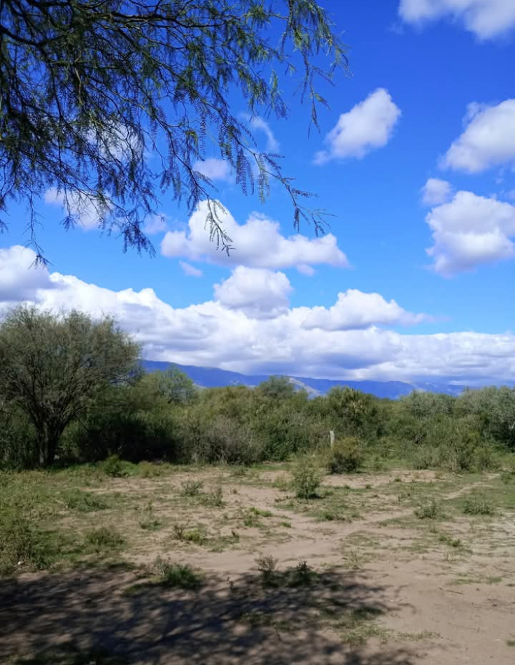 VENDE CAMPO OPORTUNIDAD DE EMPRENDIMIENTO INMOBILIARIO