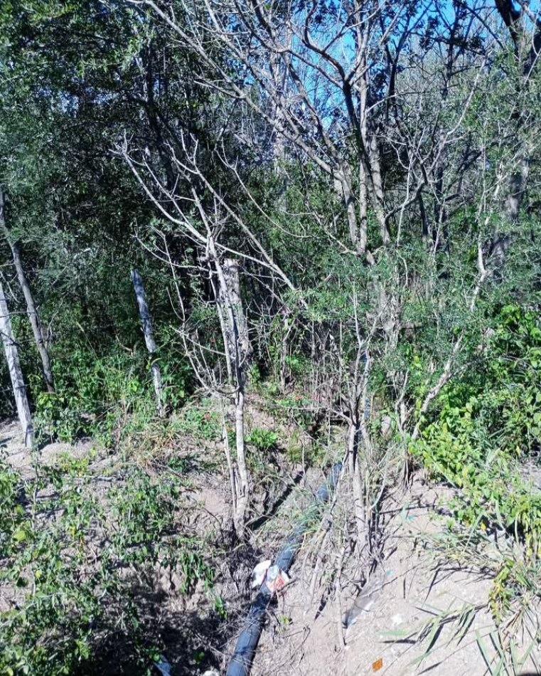 VENDE CAMPO OPORTUNIDAD DE EMPRENDIMIENTO INMOBILIARIO
