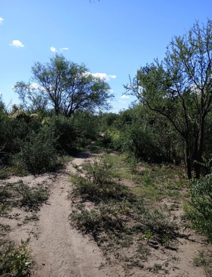 VENDE CAMPO OPORTUNIDAD DE EMPRENDIMIENTO INMOBILIARIO